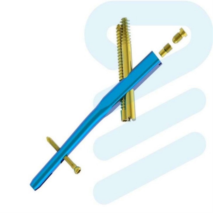 left hip intramedullary nailing