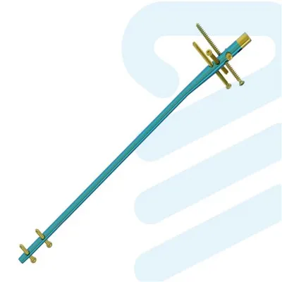 Unha intramedular de titânio